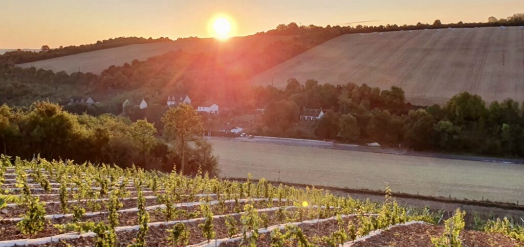 2019 Domaine Des Senons Domaine Des Senons 1 5 1024x484